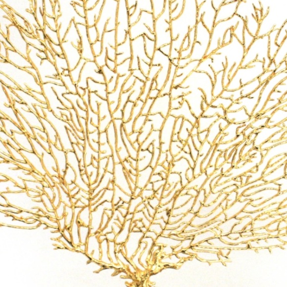 Meet your Posher, Alixou - Picture 1 of 1